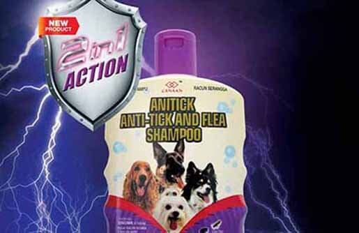 best graphic design for canaan